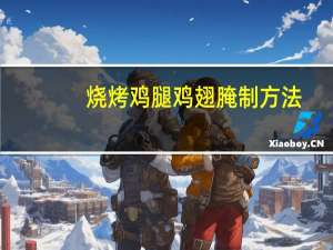 烧烤鸡腿鸡翅腌制方法