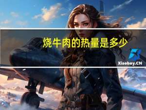 烧牛肉的热量是多少？