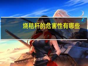 烧秸秆的危害性有哪些