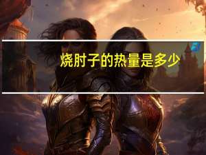 烧肘子的热量是多少