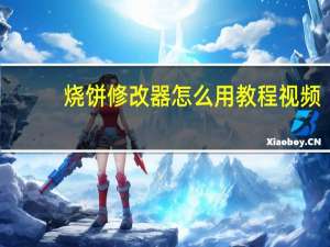烧饼修改器怎么用教程视频（烧饼修改器怎么用）