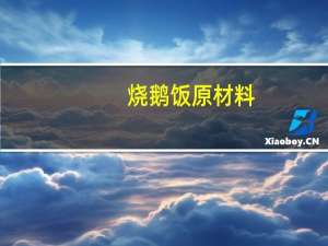 烧鹅饭原材料