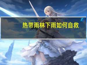 热带雨林下雨如何自救