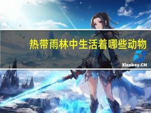 热带雨林中生活着哪些动物