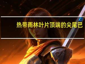热带雨林叶片顶端的尖尾巴（热带雨林中的很多植物叶片上尖尾巴）