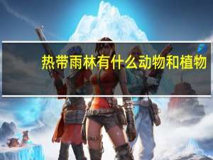 热带雨林有什么动物和植物