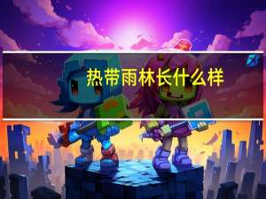 热带雨林长什么样