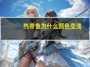 热带鱼为什么颜色变浅