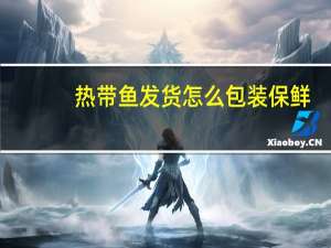 热带鱼发货怎么包装保鲜