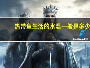 热带鱼生活的水温一般是多少