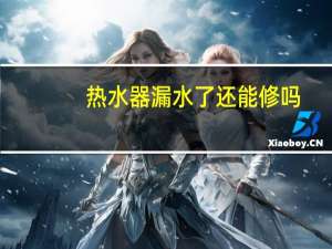 热水器漏水了还能修吗