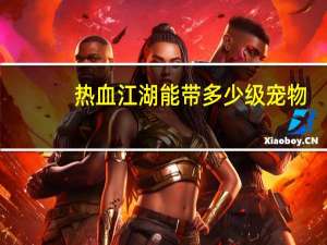 热血江湖能带多少级宠物