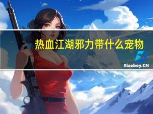 热血江湖邪力带什么宠物