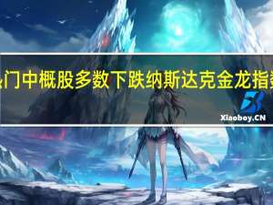 热门中概股多数下跌 纳斯达克金龙指数收跌0.51%