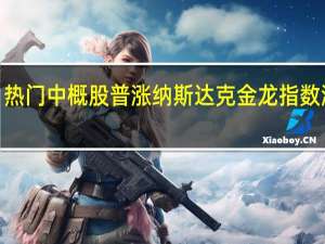 热门中概股普涨 纳斯达克金龙指数涨超3%