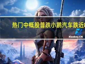 热门中概股普跌 小鹏汽车跌近8%