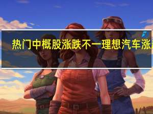 热门中概股涨跌不一 理想汽车涨超2%