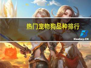 热门宠物狗品种排行
