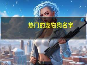 热门的宠物狗名字