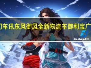 热门车讯东风御风全新物流车御利宝广州上市 13.28万起