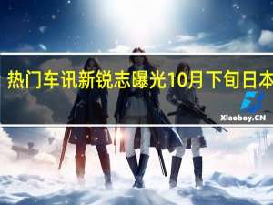 热门车讯新锐志曝光 10月下旬日本上市