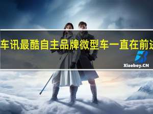 热门车讯最酷自主品牌微型车 一直在前进的新奔奔