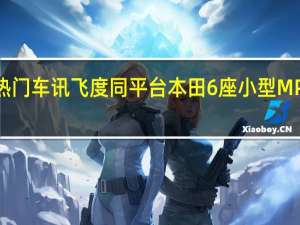 热门车讯飞度同平台 本田6座小型MPV实拍(多图)