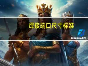 焊接端口尺寸标准