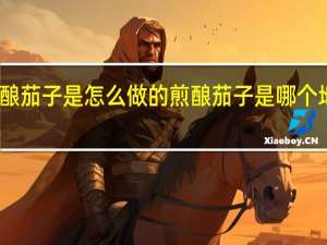 煎酿茄子是怎么做的 煎酿茄子是哪个地方的菜