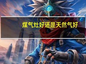 煤气灶好还是天然气好