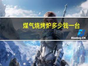 煤气烧烤炉多少钱一台
