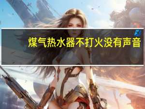 煤气热水器不打火没有声音（煤气热水器不打火）