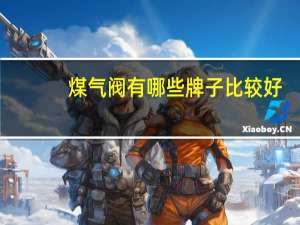 煤气阀有哪些牌子比较好