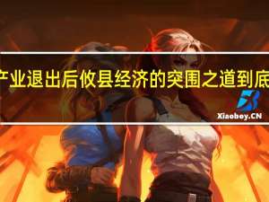 煤炭产业退出后攸县经济的突围之道 到底什么情况嘞