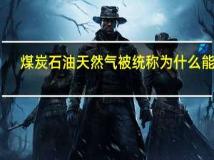 煤炭石油天然气被统称为什么能源