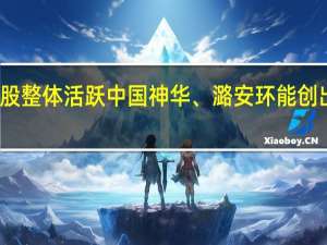 煤炭股整体活跃中国神华、潞安环能创出阶段新高