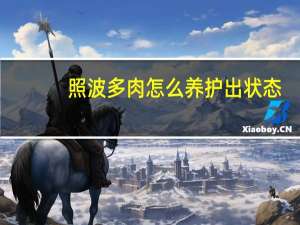 照波多肉怎么养护出状态