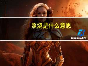 照烧是什么意思