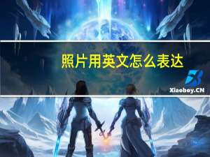 照片用英文怎么表达？