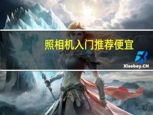 照相机入门推荐便宜（照相机什么牌子好）
