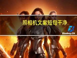 照相机文案短句干净