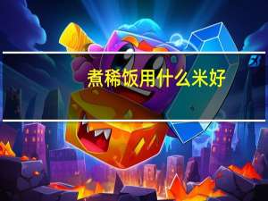 煮稀饭用什么米好