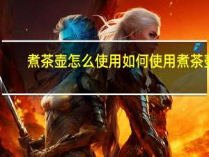 煮茶壶怎么使用 如何使用煮茶壶