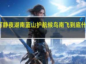 熄灯静夜 湖南蓝山护航候鸟南飞 到底什么情况嘞
