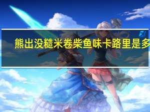 熊出没 糙米卷柴鱼味卡路里是多少
