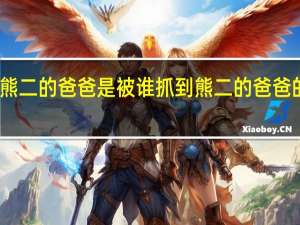 熊大熊二的爸爸是被谁抓到 熊二的爸爸的百度百科