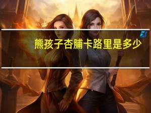 熊孩子 杏脯卡路里是多少