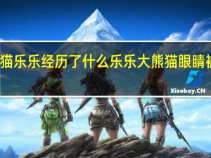 熊猫乐乐经历了什么 乐乐大熊猫眼睛被谁挖了