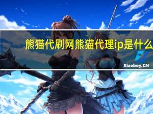 熊猫代刷网 熊猫代理ip是什么(熊猫代理怎么用)
