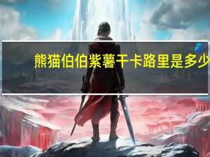 熊猫伯伯紫薯干卡路里是多少